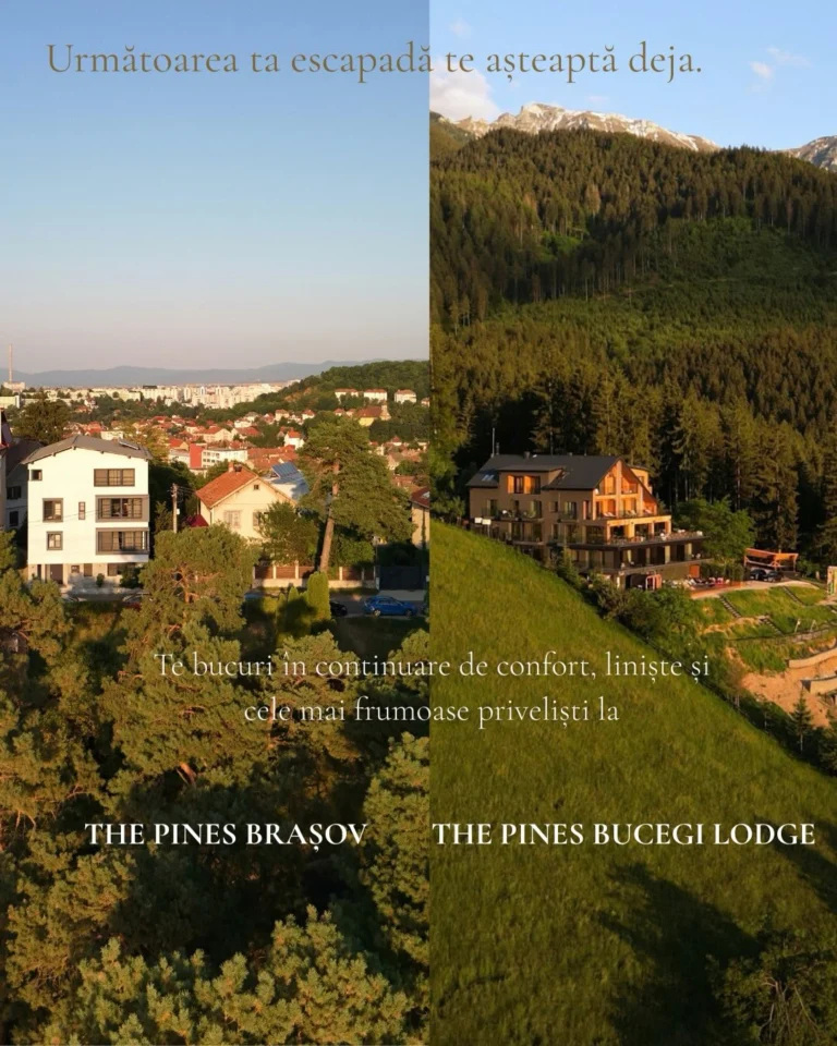 Instagram post from thepinesvamaveche. This post is in position 4.