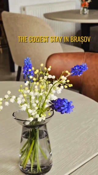 Instagram post from thepinesbrasov. This post is in position 5.