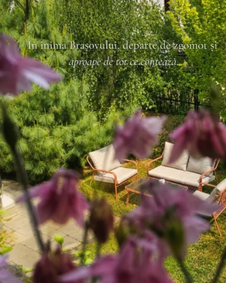Instagram post from thepinesbrasov. This post is in position 3.
