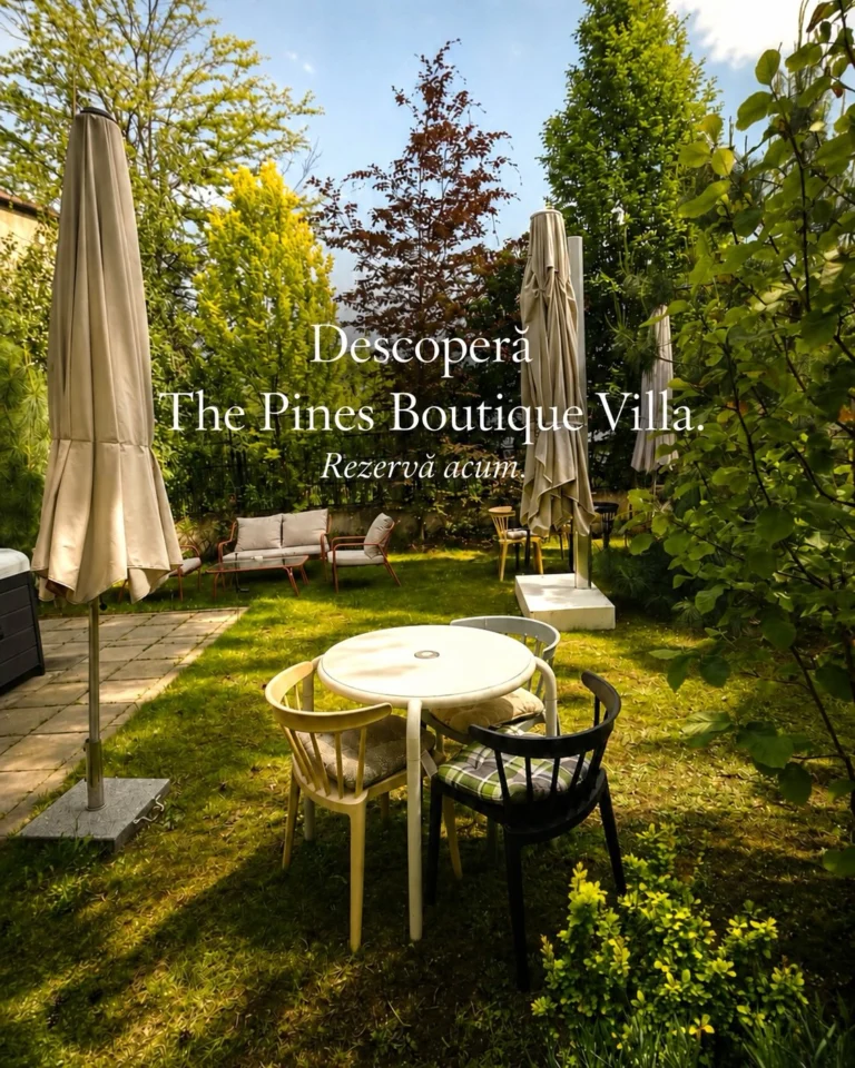 Instagram post from thepinesbrasov. This post is in position 4.
